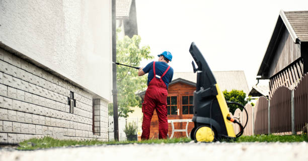 Best Roof Pressure Washing  in Obion, TN